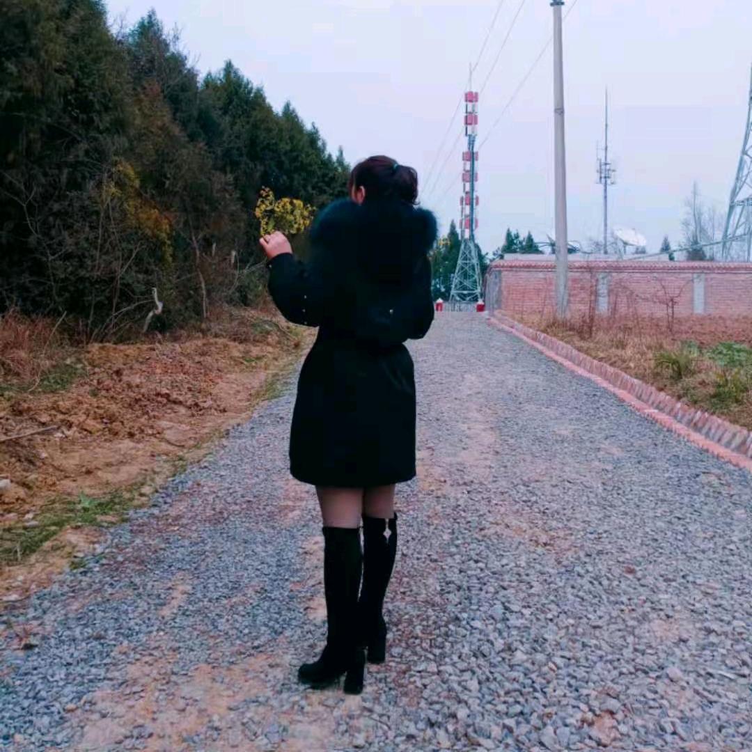 好运姜至
