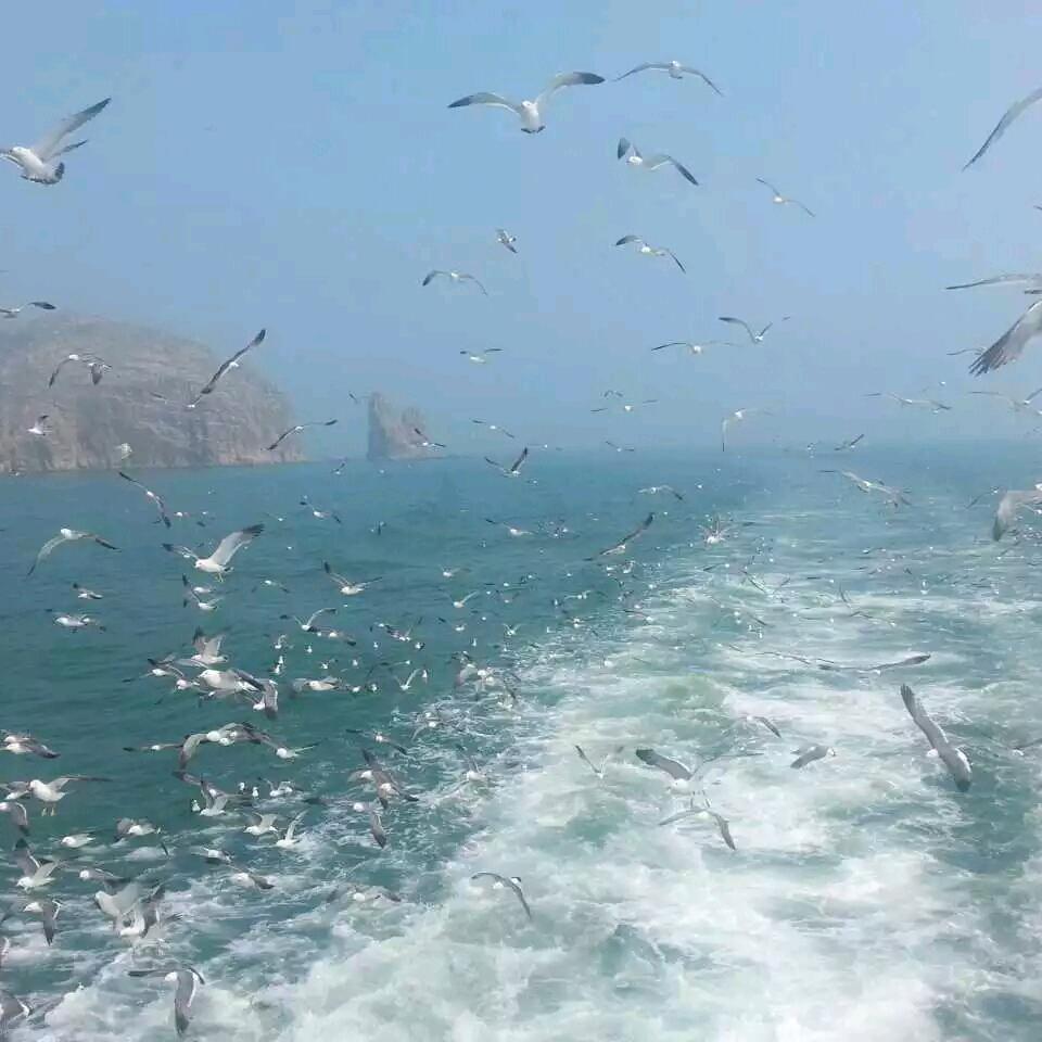 春海