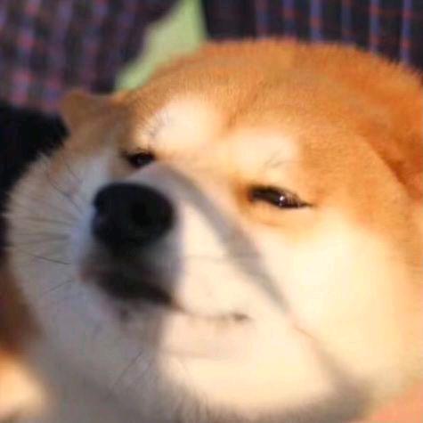 小远远的游戏日常