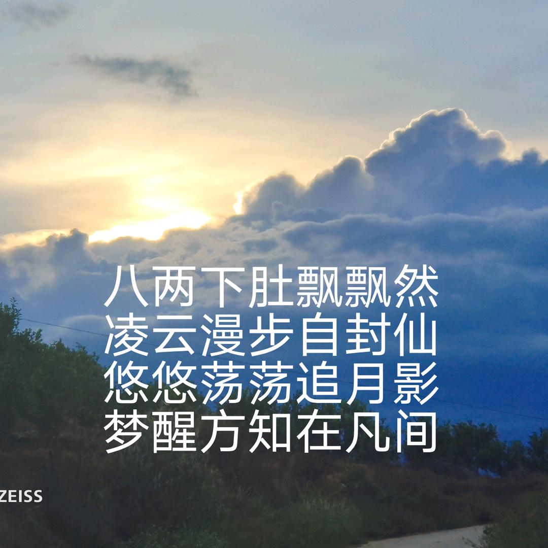 你的月亮，我的心