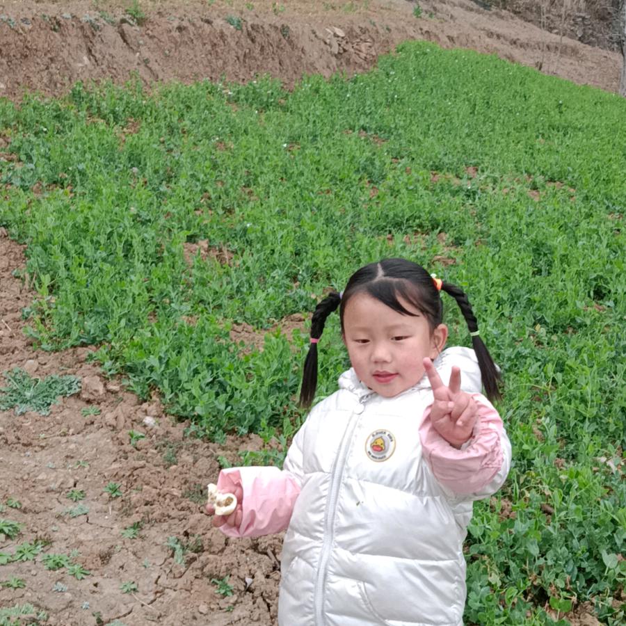 筱沐