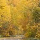 学会放下（｡ӧ◡ӧ｡）