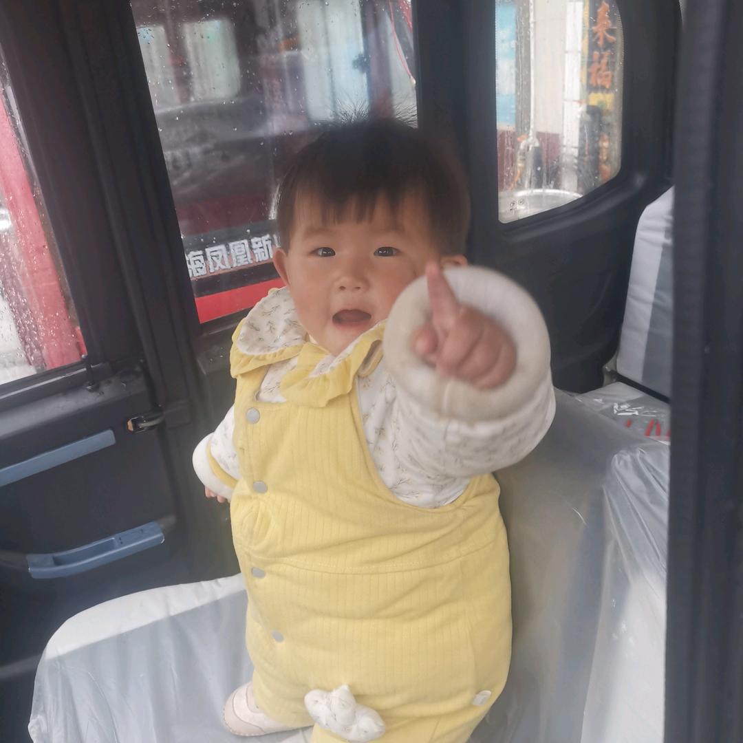 刘dejie