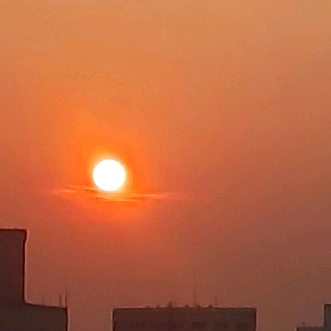 已重置棒棒。