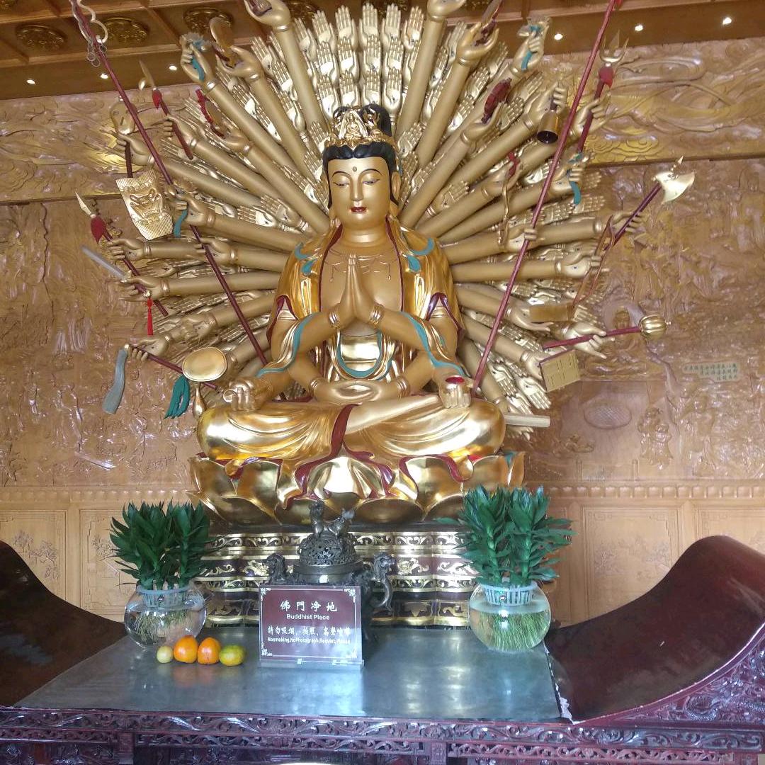 芸晴风淡笑红尘千指福音度春秋