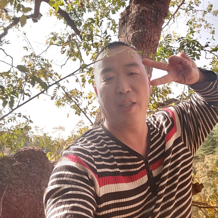 曾经的骄傲