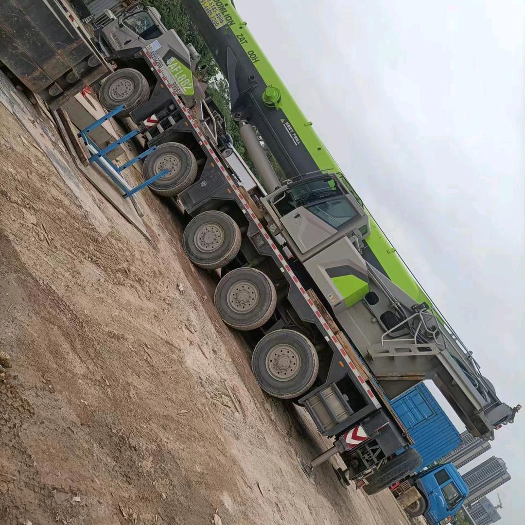 杨杨杨《三只杨》
