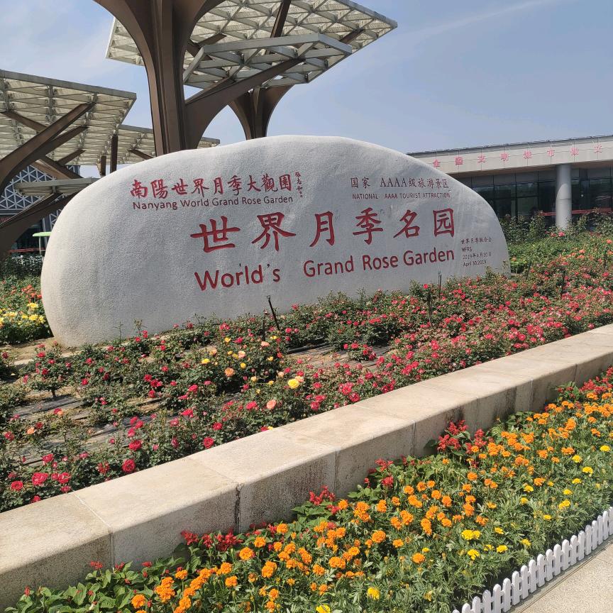 阳光。