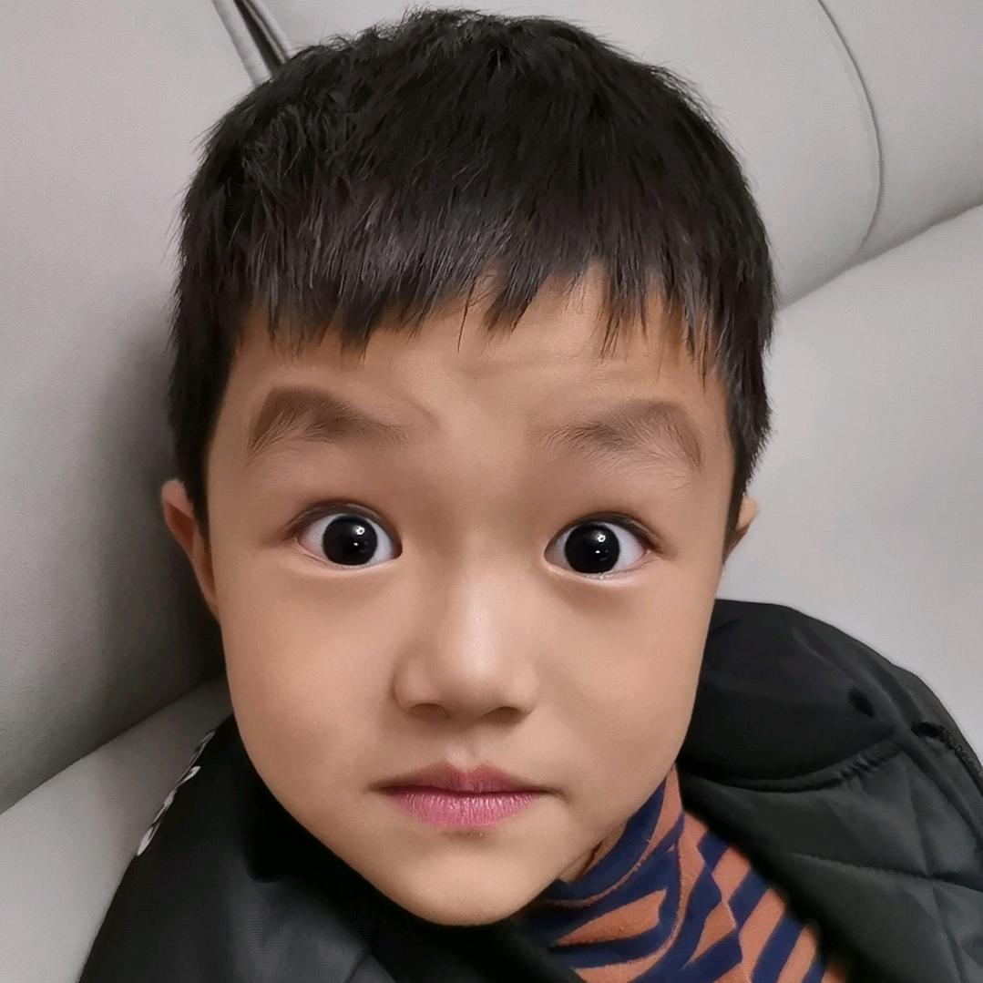 铁嘎达