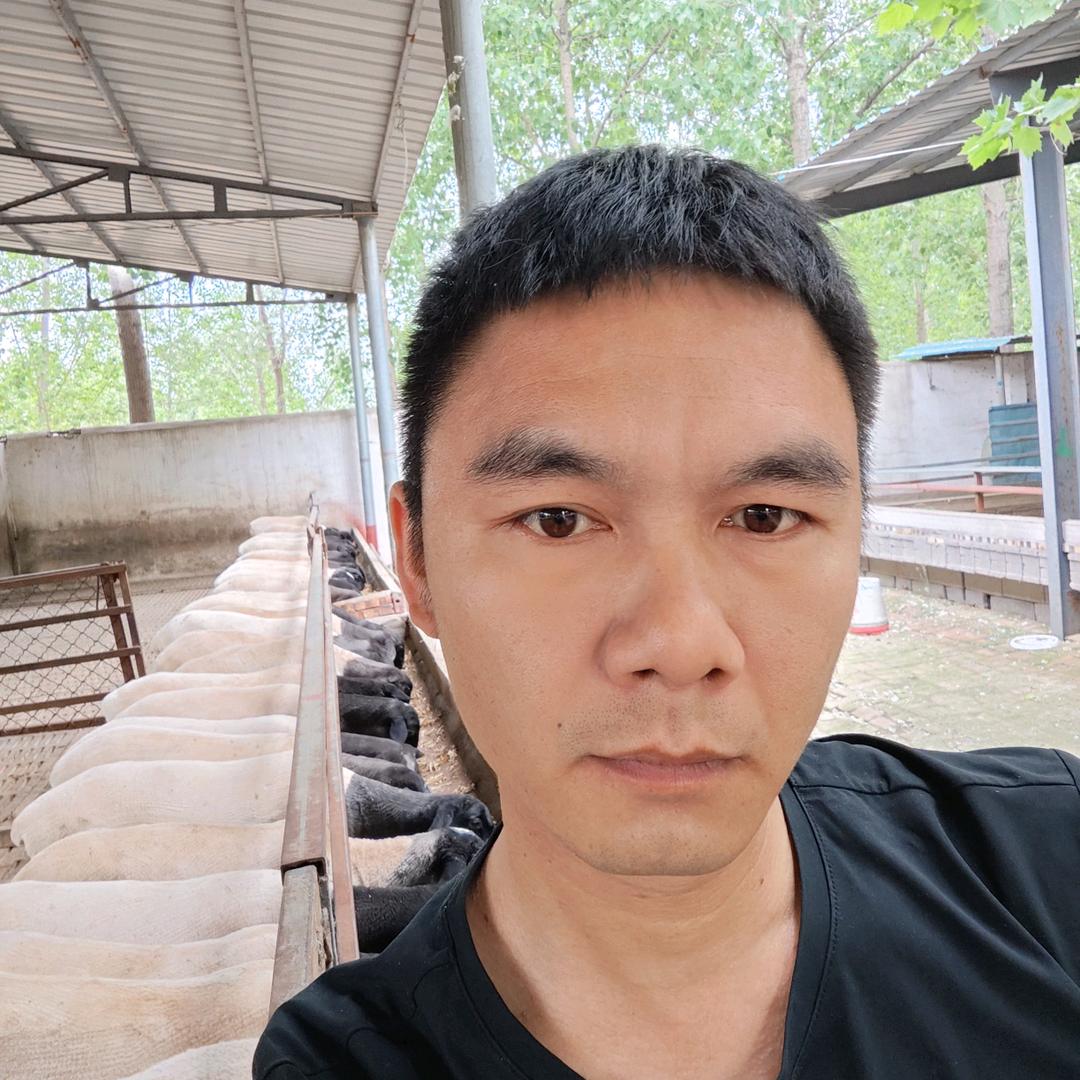 养羊的刘先生