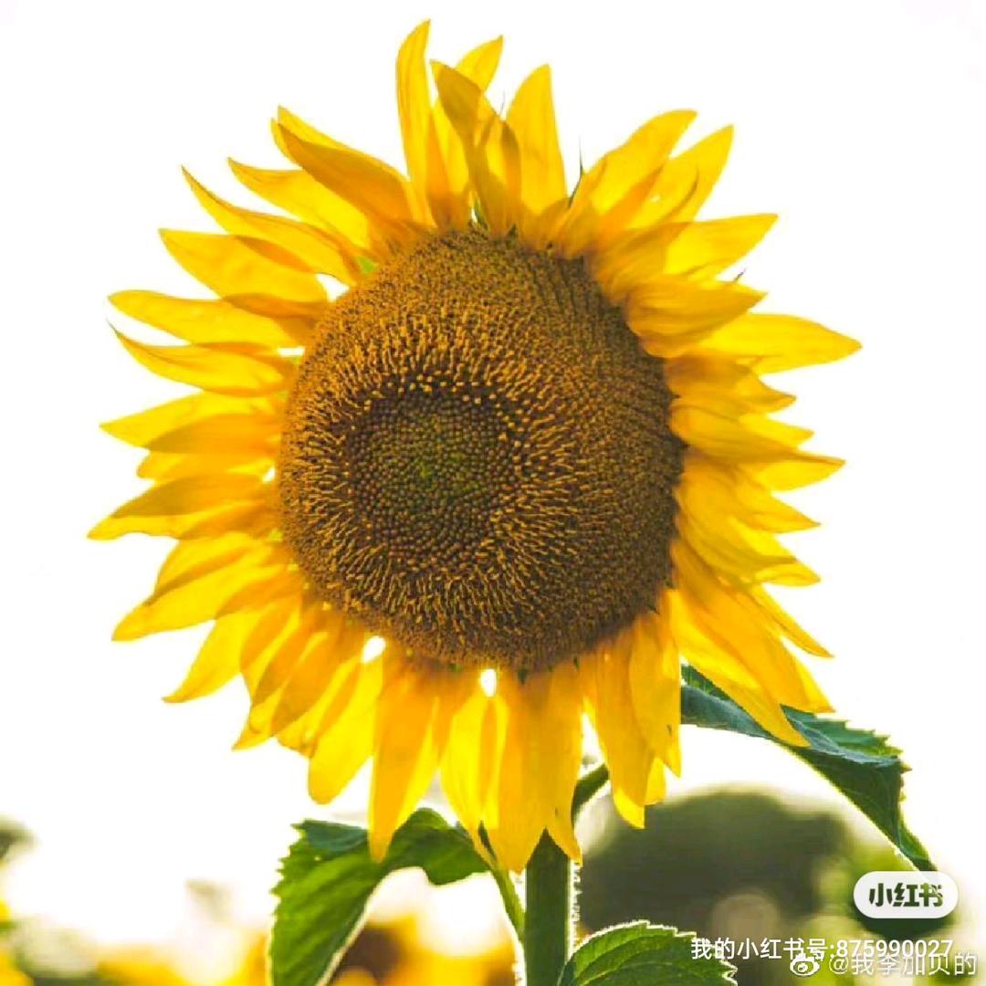 🌈月亮打烊了🌙