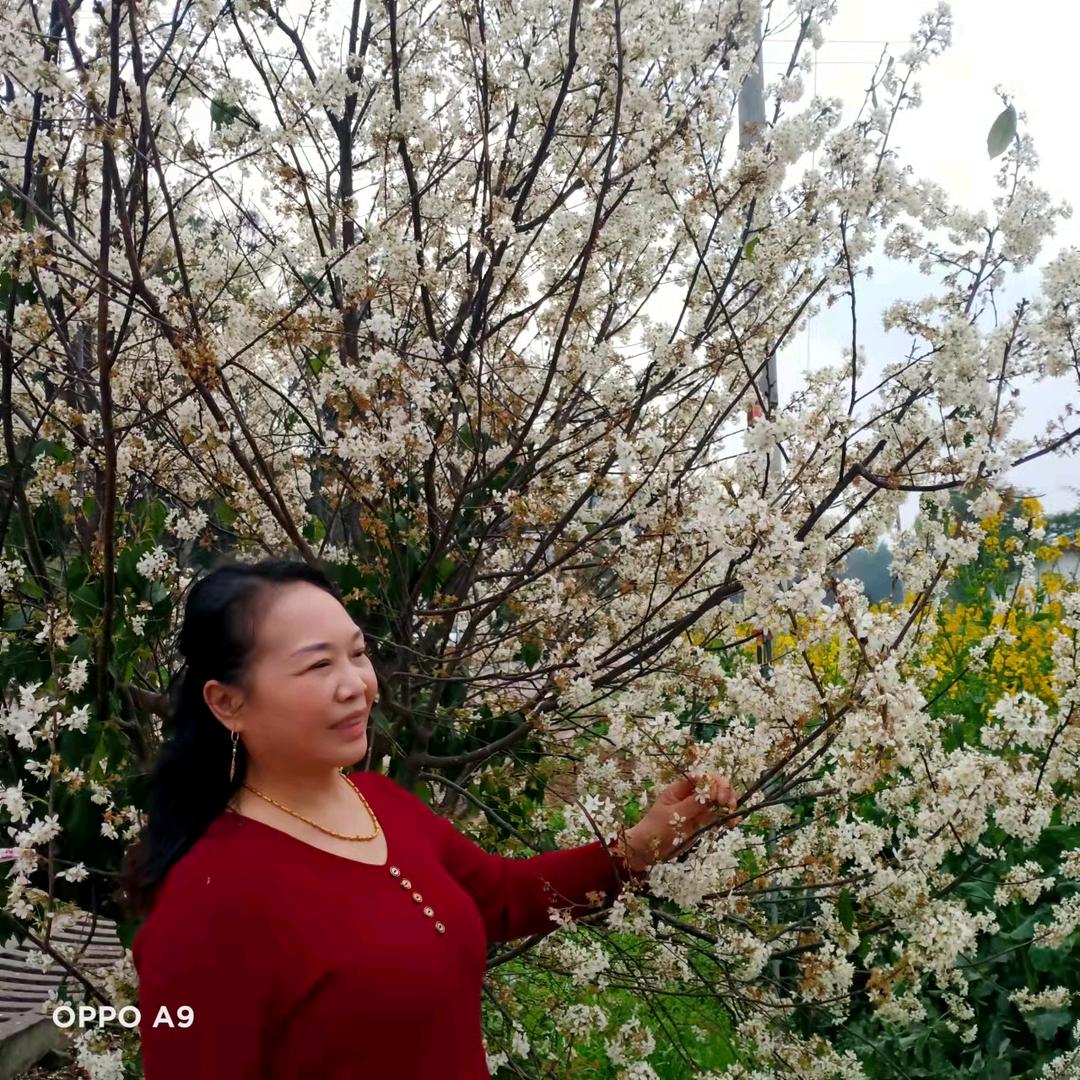 独立的女人张姐