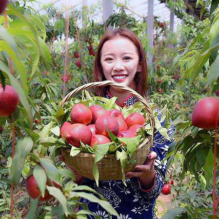 农业知识分享🌾【沃尔丰商品在橱窗】