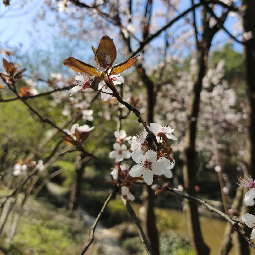 用户532976一米阳光