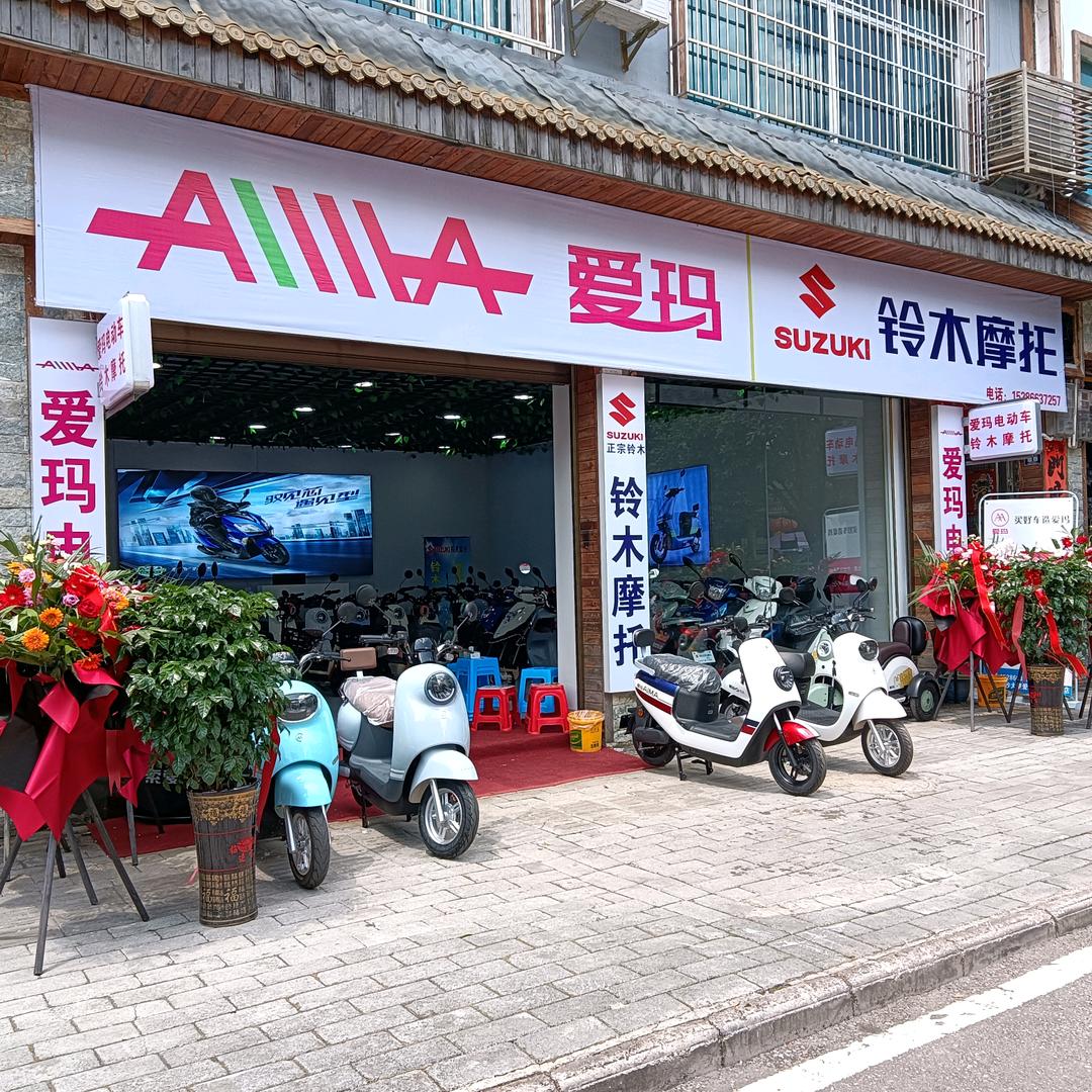 施秉机车  爱玛  铃木   九号