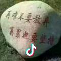 西北雄鹰带你看生活