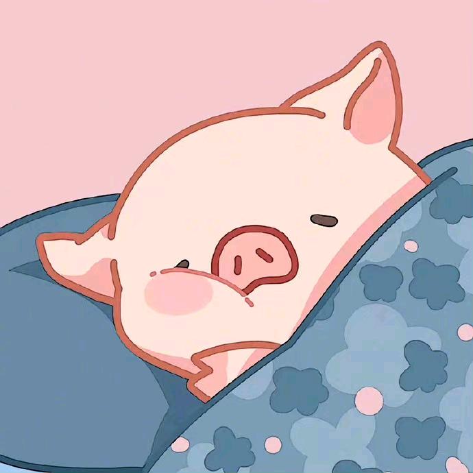 是小胡吖💞
