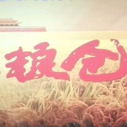 阿倩正能量好物传媒