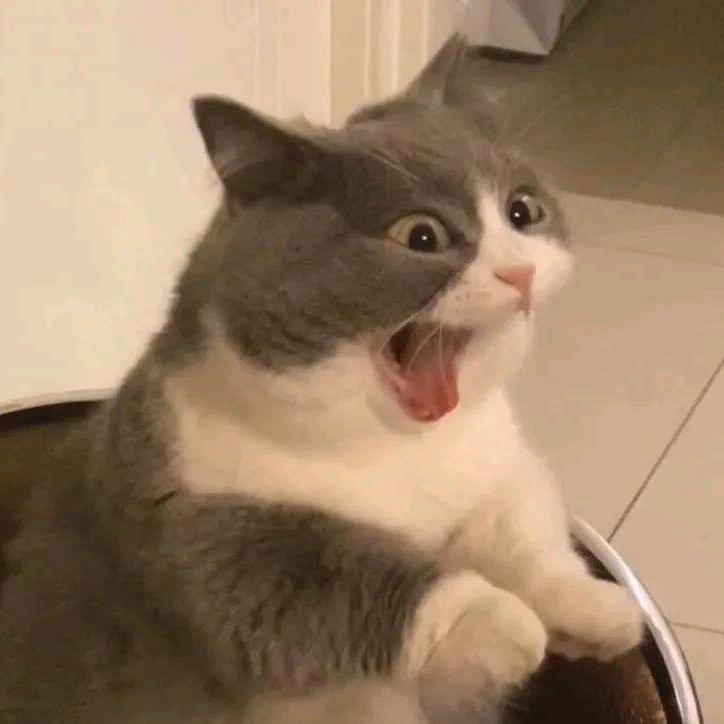 QQ糖糖