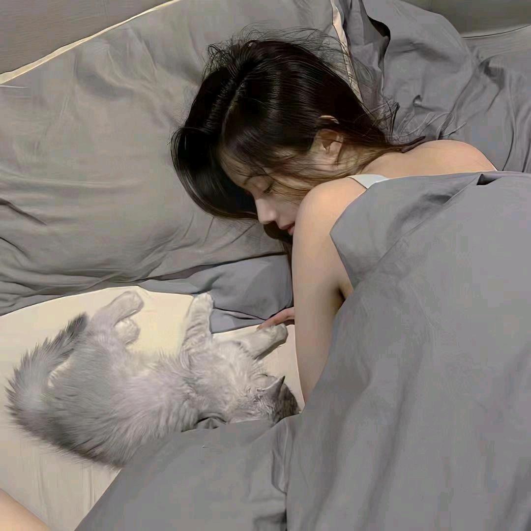 陈老师