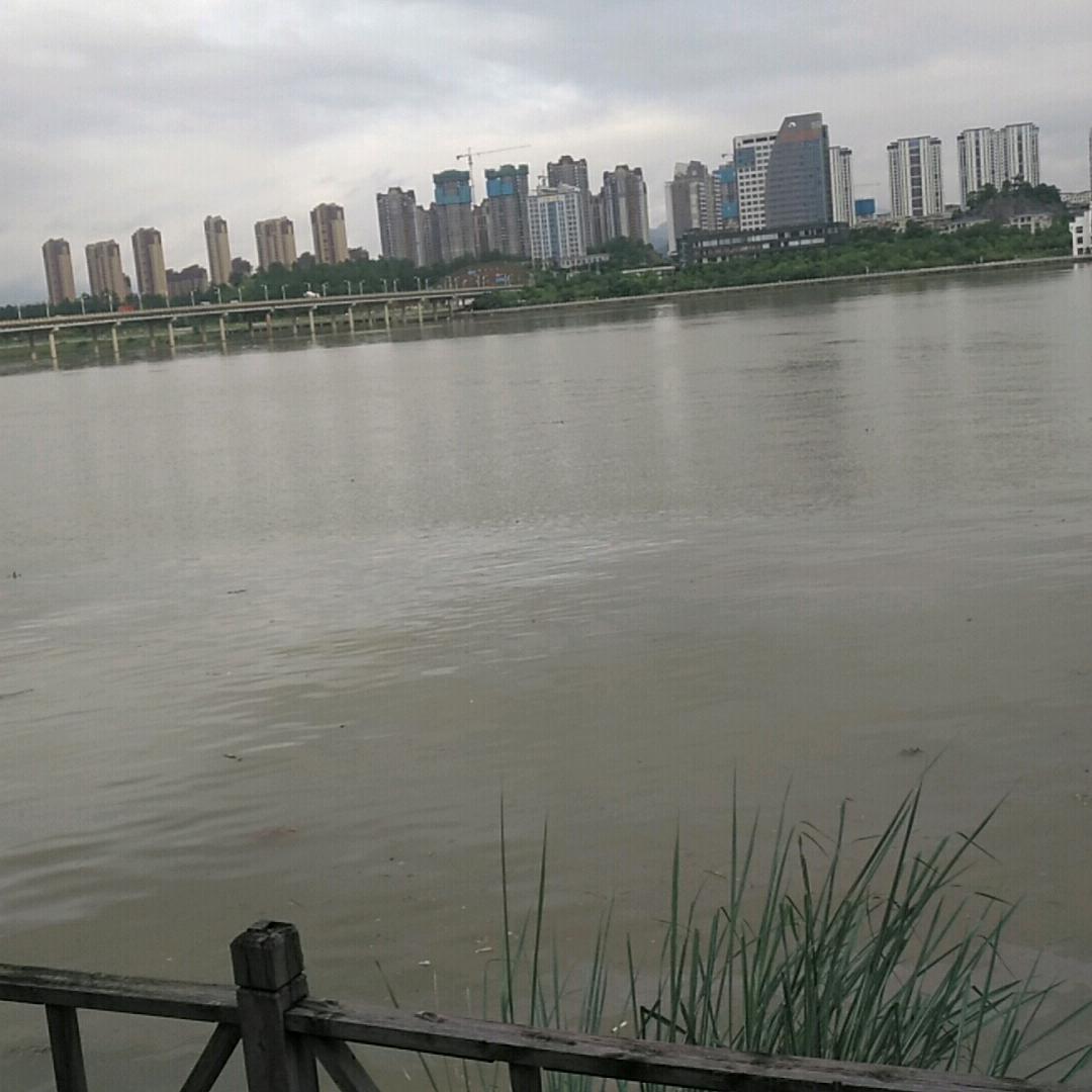 海兄
