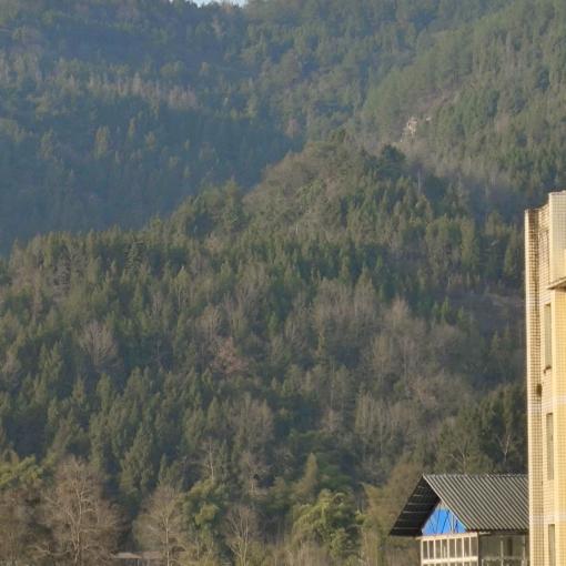 热烈勇敢且自由