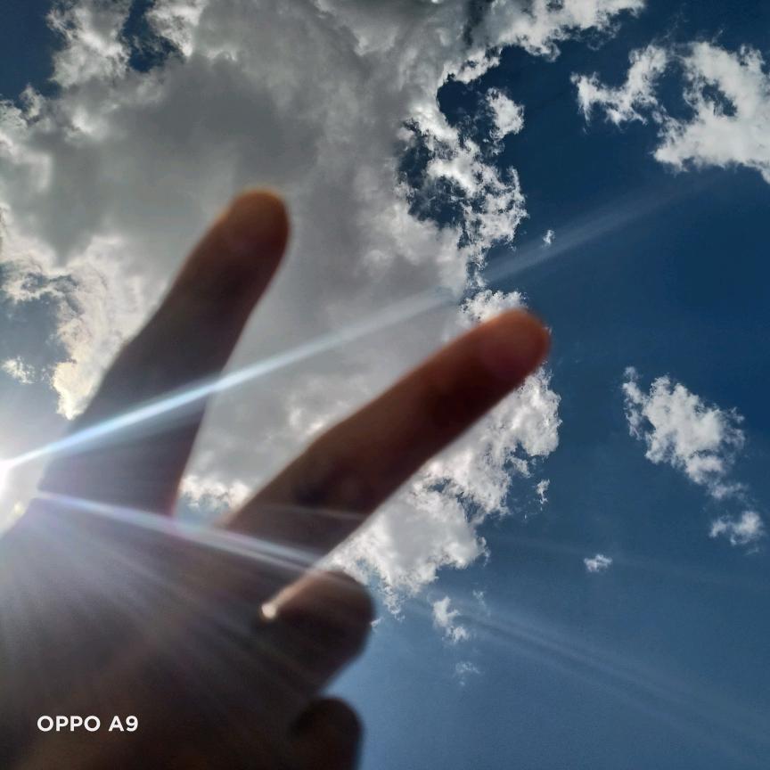 常芳镇川麻辣肝碗托