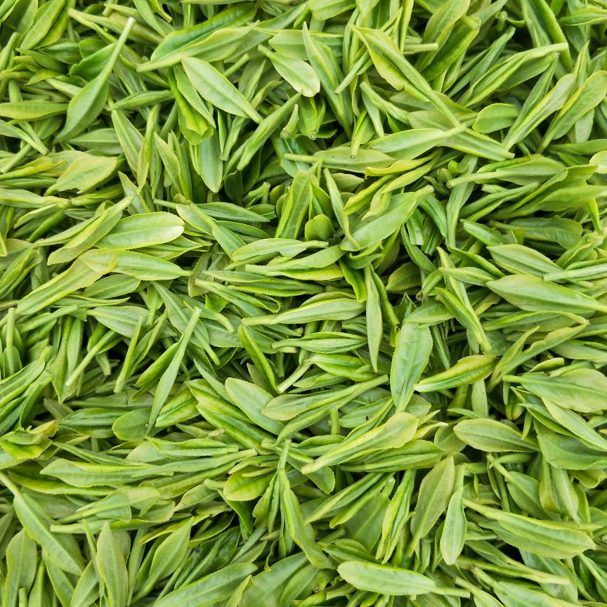 茶农叔叔