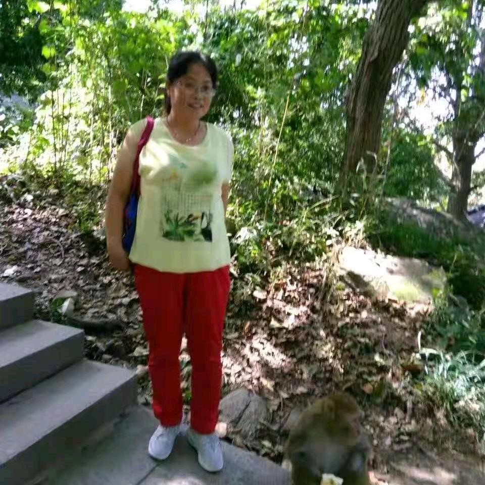 红良美家定州焖子