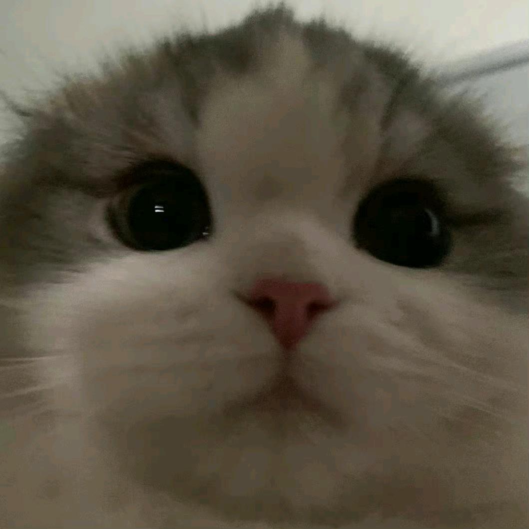 嘤嘤嘤呀