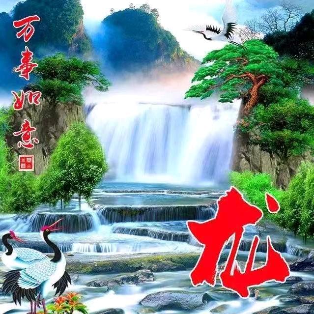 小龙超市寻宝记