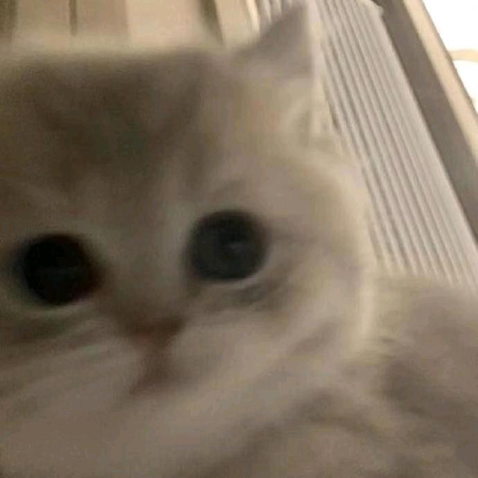 。。。。
