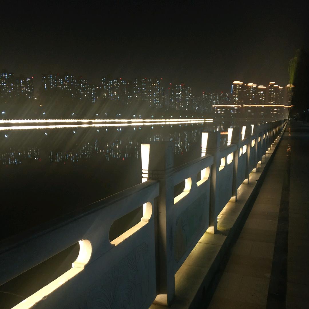 等风来 🌻