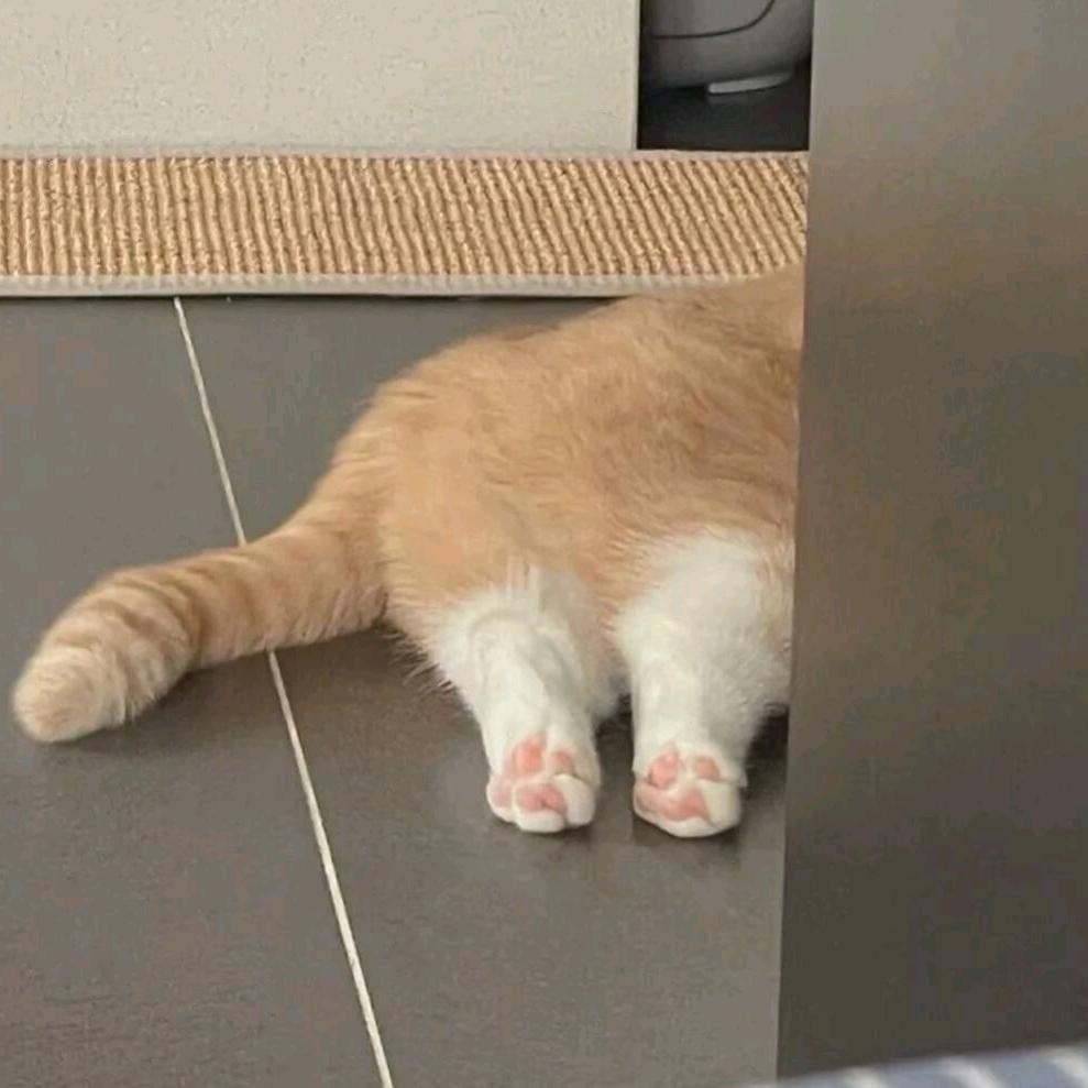 乌青哒旦