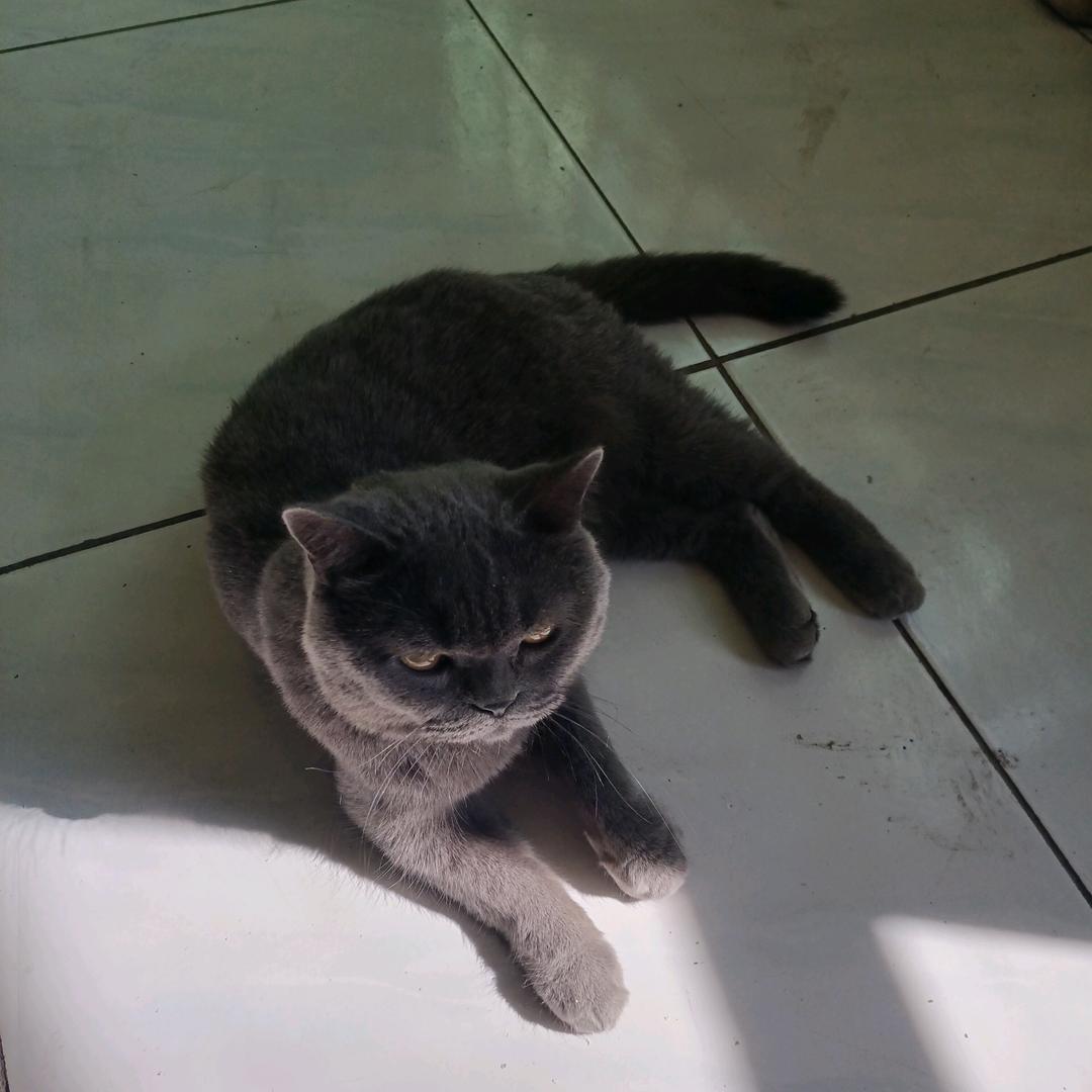 努力拼搏，坚持真理