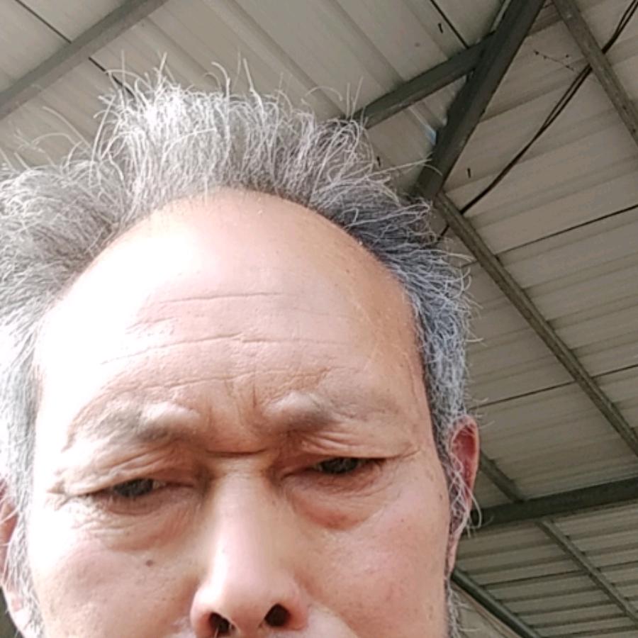 有事必成