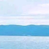 小东先生