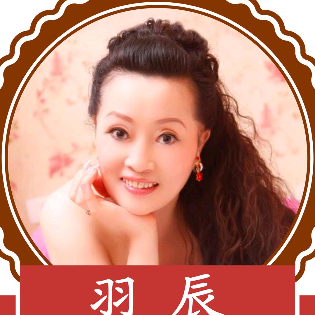 重庆羽辰兔食品