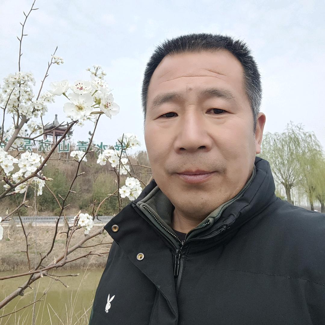 清茶高哥