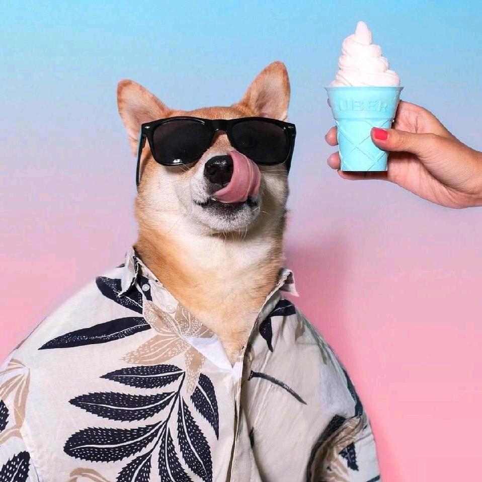 ୧⍤⃝🌌⃢𒅌