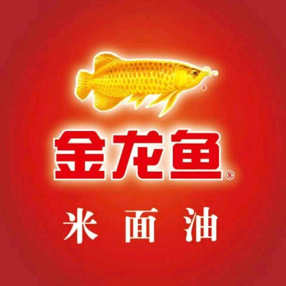 惠民金龙鱼