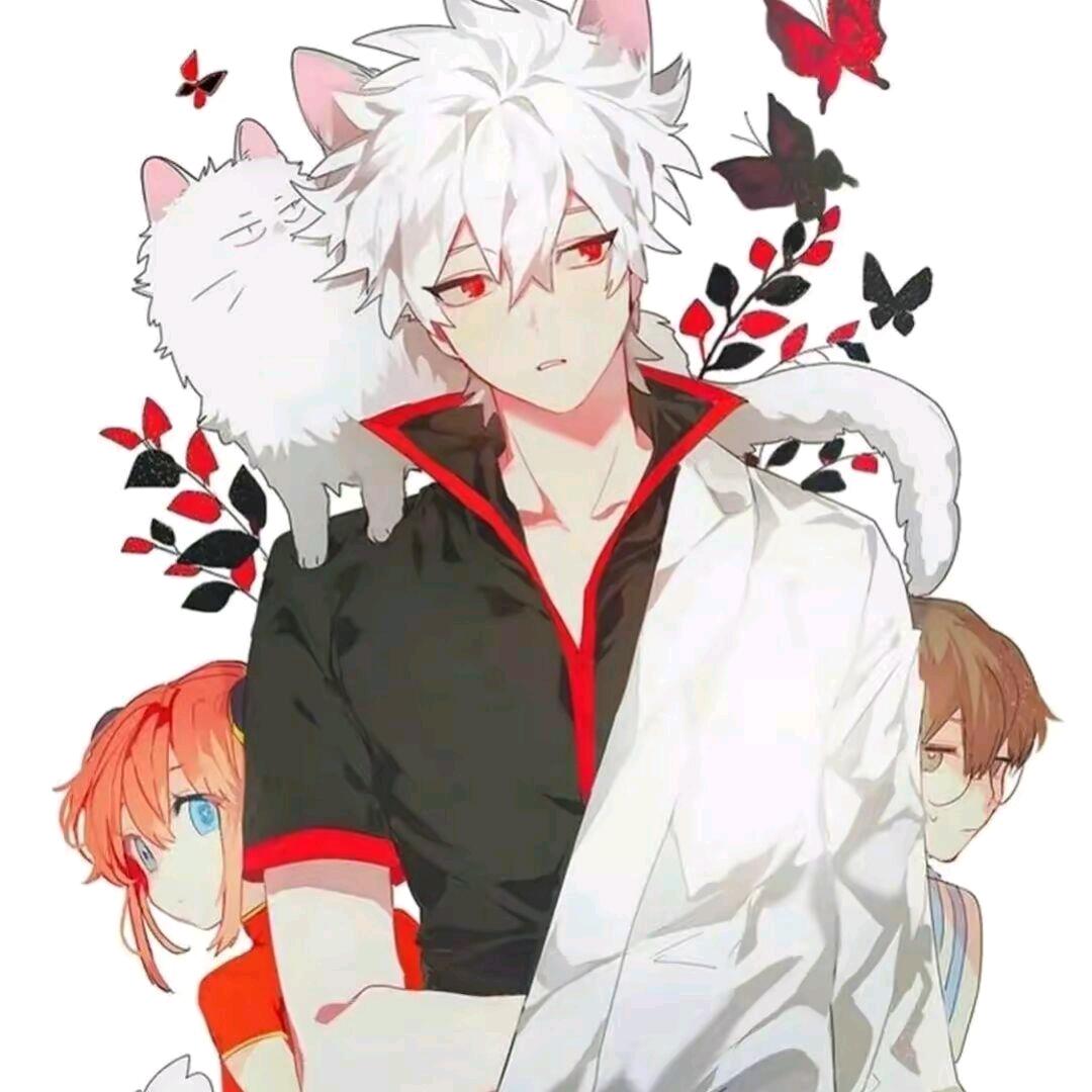 𓃠: ℳ̶̶̶̶♡̶҉飞龙探云手ℳᥫᩣ