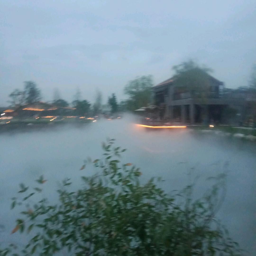陈