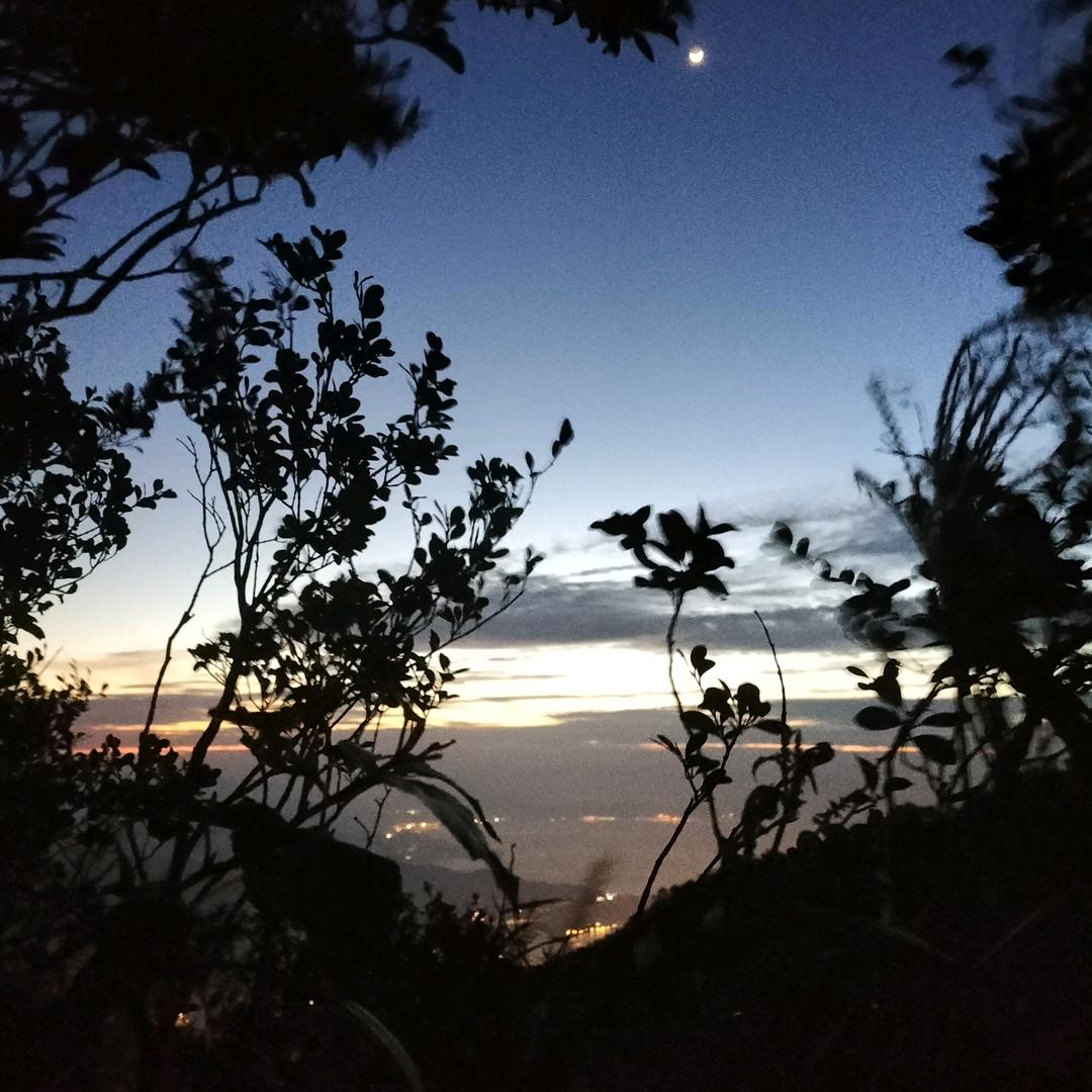 兑换券