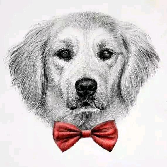 乌鲁木齐金色嘉园店