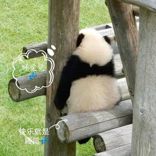 困困的一生