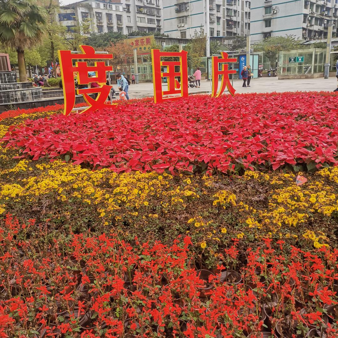 半夏如烟.