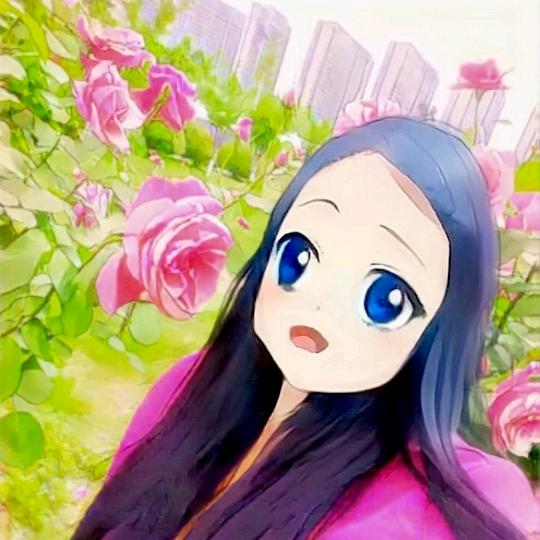 半夏无爱