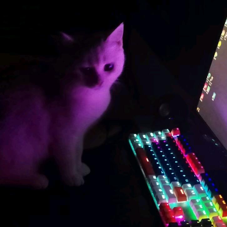 蒜