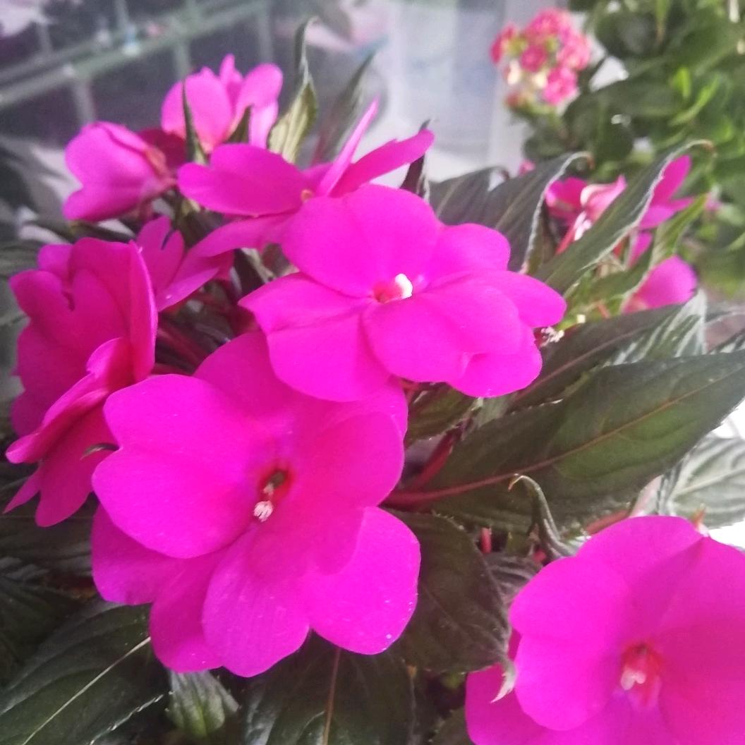 开开心心❤️❤️